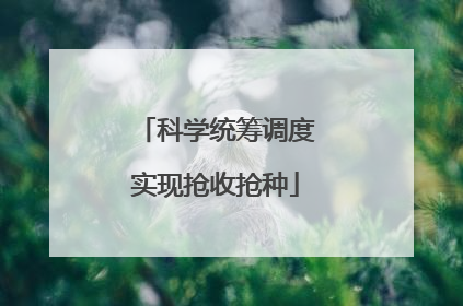 科学统筹调度实现抢收抢种