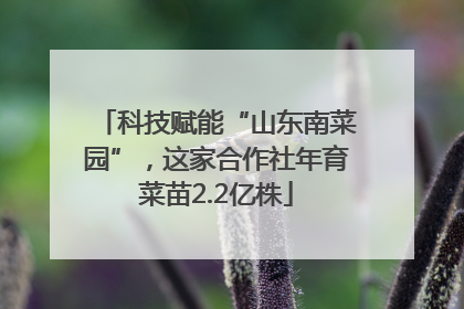 科技赋能“山东南菜园”，这家合作社年育菜苗2.2亿株