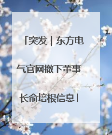 突发｜东方电气官网撤下董事长俞培根信息