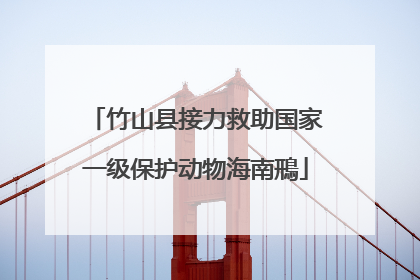 竹山县接力救助国家一级保护动物海南鳽