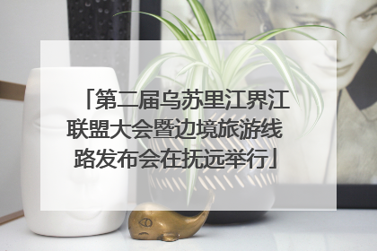 第二届乌苏里江界江联盟大会暨边境旅游线路发布会在抚远举行