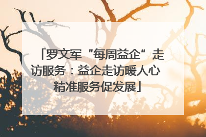 罗文军“每周益企”走访服务：益企走访暖人心 精准服务促发展