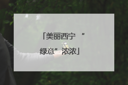 美丽西宁 “绿意”浓浓