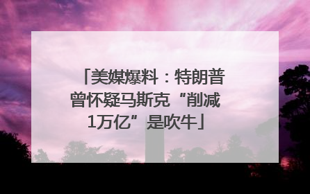 美媒爆料：特朗普曾怀疑马斯克“削减1万亿”是吹牛