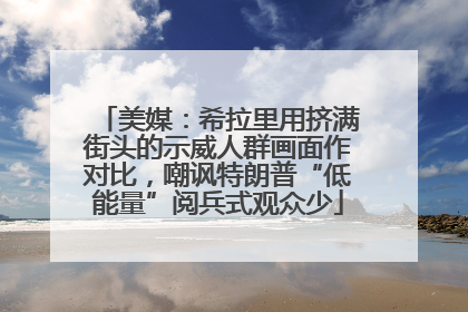美媒：希拉里用挤满街头的示威人群画面作对比，嘲讽特朗普“低能量”阅兵式观众少