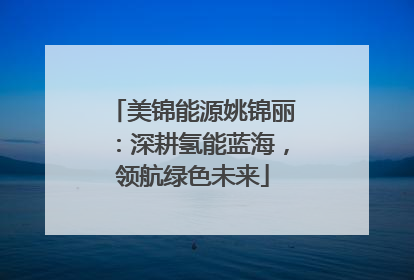 美锦能源姚锦丽：深耕氢能蓝海，领航绿色未来