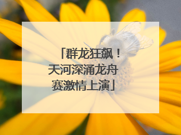 群龙狂飙！天河深涌龙舟赛激情上演