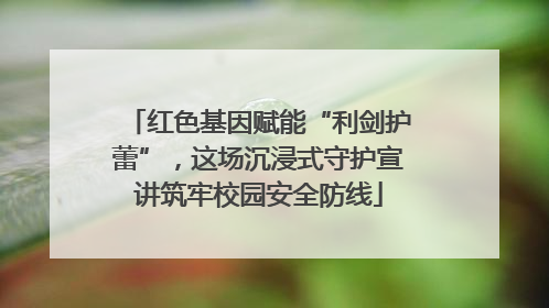 红色基因赋能“利剑护蕾”，这场沉浸式守护宣讲筑牢校园安全防线