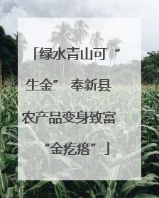 绿水青山可“生金” 奉新县农产品变身致富“金疙瘩”