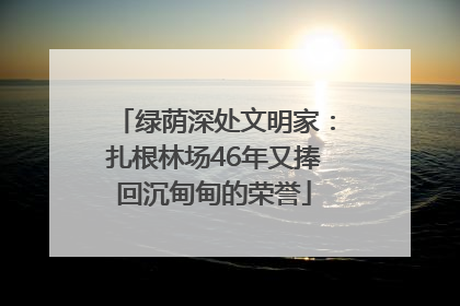 绿荫深处文明家：扎根林场46年又捧回沉甸甸的荣誉