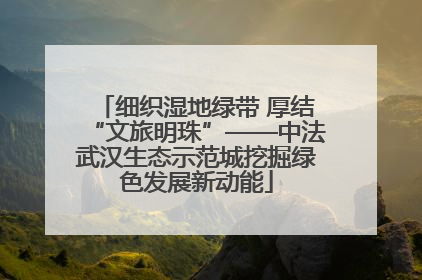 细织湿地绿带 厚结“文旅明珠”——中法武汉生态示范城挖掘绿色发展新动能