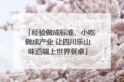 经验做成标准、小吃做成产业 让四川乐山味道端上世界餐桌