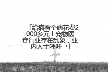 给猫看个病花费2000多元！宠物医疗行业存在乱象，业内人士呼吁→