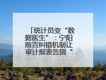 统计员变“数据医生”：宁阳前置纠错机制让审计报表告别“带病上岗”