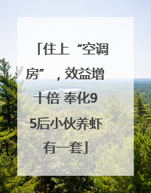 住上“空调房”，效益增十倍 奉化95后小伙养虾有一套