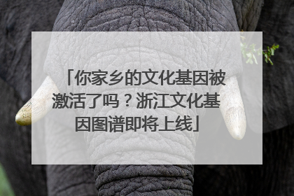 你家乡的文化基因被激活了吗？浙江文化基因图谱即将上线