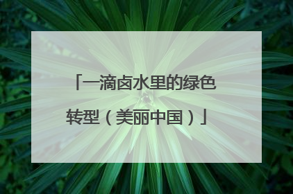 一滴卤水里的绿色转型（美丽中国）