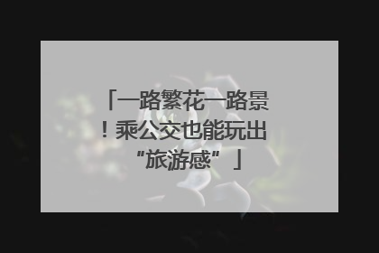 一路繁花一路景！乘公交也能玩出“旅游感”