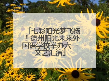 七彩阳光梦飞扬！德州阳光未来外国语学校举办六一文艺汇演