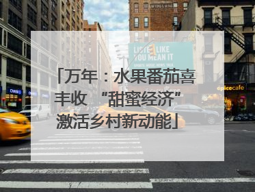 万年：水果番茄喜丰收 “甜蜜经济”激活乡村新动能