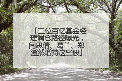 三位百亿基金经理调仓路径曝光，闫思倩、葛兰、郑澄然增持这些股