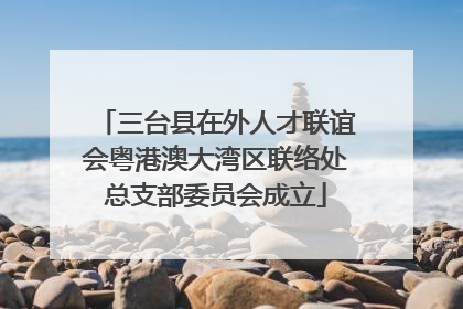 三台县在外人才联谊会粤港澳大湾区联络处总支部委员会成立