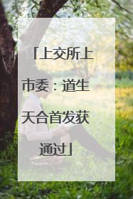 上交所上市委：道生天合首发获通过