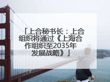 上合秘书长：上合组织将通过《上海合作组织至2035年发展战略》