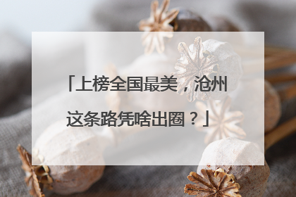 上榜全国最美，沧州这条路凭啥出圈？