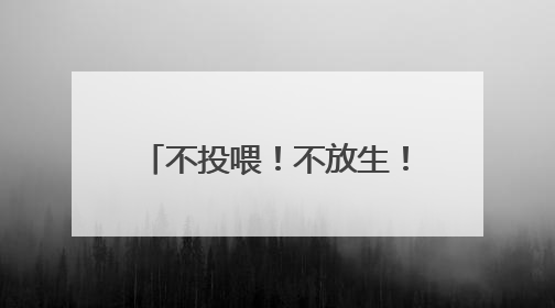 不投喂！不放生！不触摸野生动物！