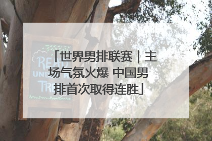 世界男排联赛｜主场气氛火爆 中国男排首次取得连胜
