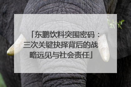 东鹏饮料突围密码：三次关键抉择背后的战略远见与社会责任