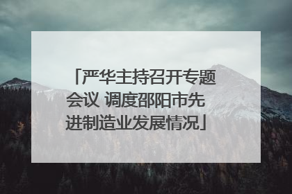 严华主持召开专题会议 调度邵阳市先进制造业发展情况