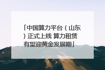 中国算力平台（山东）正式上线 算力租赁有望迎黄金发展期
