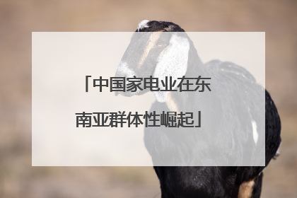 中国家电业在东南亚群体性崛起