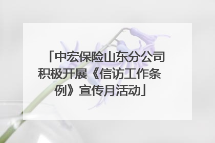 中宏保险山东分公司积极开展《信访工作条例》宣传月活动
