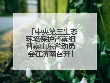 中央第三生态环境保护督察组督察山东省动员会在济南召开