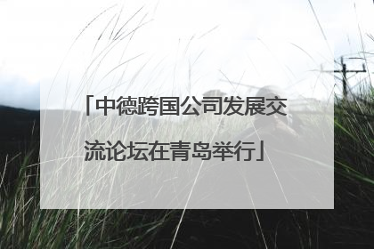 中德跨国公司发展交流论坛在青岛举行
