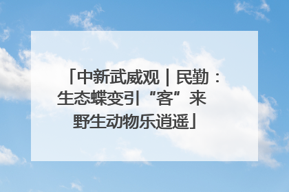 中新武威观｜民勤：生态蝶变引“客”来 野生动物乐逍遥