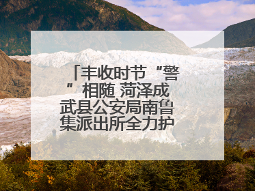 丰收时节“警”相随 菏泽成武县公安局南鲁集派出所全力护航大蒜收获季