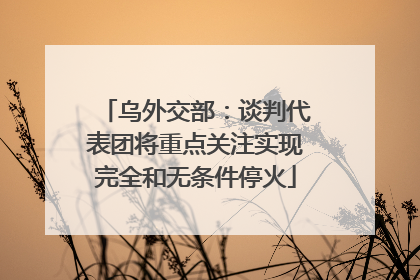 乌外交部：谈判代表团将重点关注实现完全和无条件停火