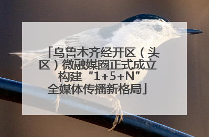 乌鲁木齐经开区（头区）微融媒圈正式成立 构建“1+5+N”全媒体传播新格局