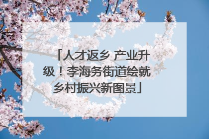 人才返乡 产业升级！李海务街道绘就乡村振兴新图景
