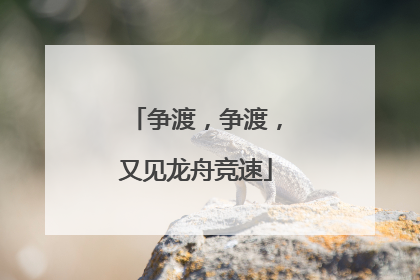 争渡，争渡，又见龙舟竞速
