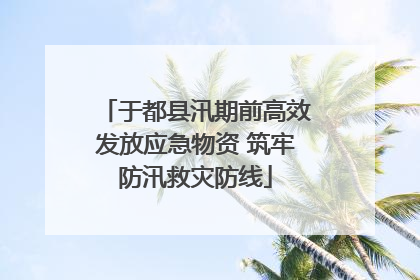 于都县汛期前高效发放应急物资 筑牢防汛救灾防线