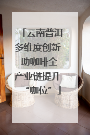 云南普洱多维度创新 助咖啡全产业链提升“咖位”