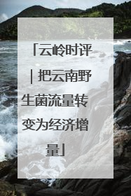 云岭时评｜把云南野生菌流量转变为经济增量
