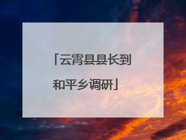 云霄县县长到和平乡调研