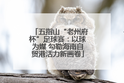 五指山“老州府杯”足球赛：以球为媒 勾勒海南自贸港活力新画卷
