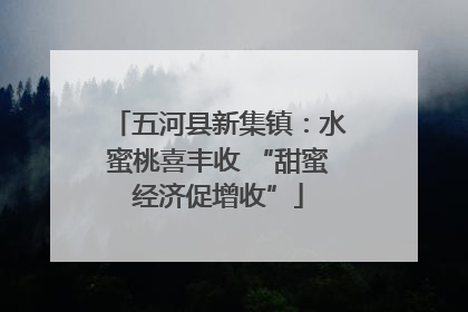 五河县新集镇：水蜜桃喜丰收 “甜蜜经济促增收”